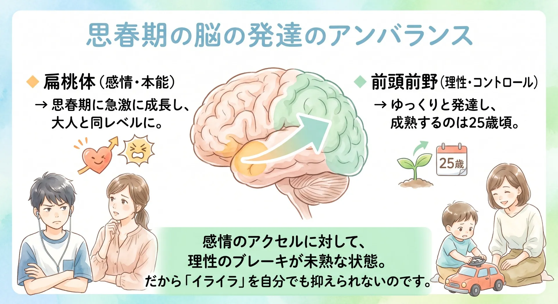 反抗期は脳の成長期！中学生と勉強の話でぶつからないための処方箋